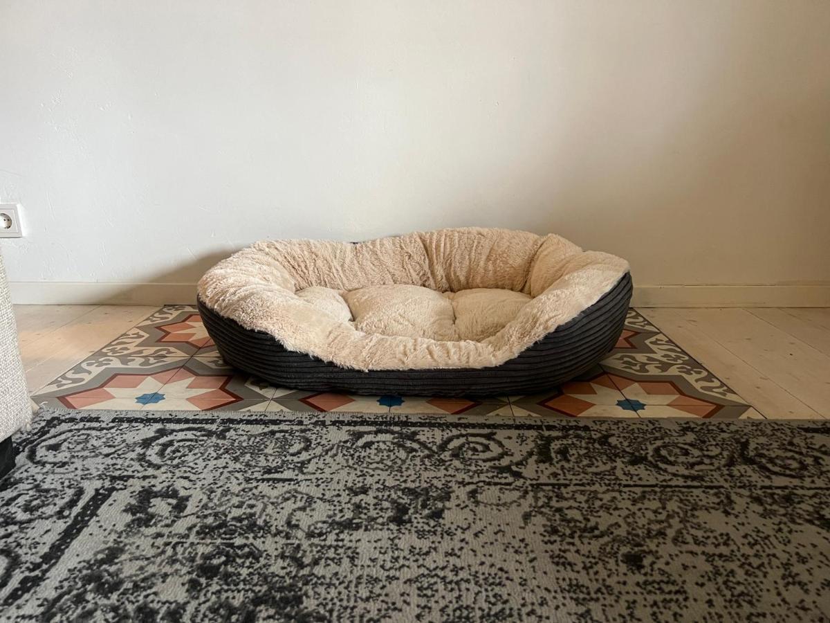 B&B Appartement Rebel And Moon In Het Centrum Van Alblasserdam Zewnętrze zdjęcie
